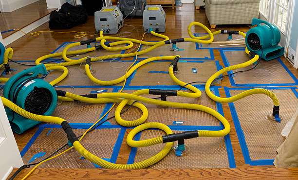 Professional Structural Drying And Dehumidification technician working in Mogadore, OH